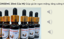 Energy Ginseng: giúp tăng cường thể lực và sức ăn cho gà đá về