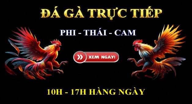 Xem đá gà trực tiếp miễn phí, chất lượng cao